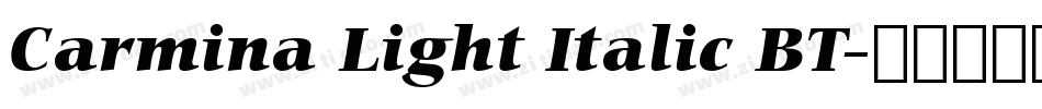 Carmina Light Italic BT字体转换